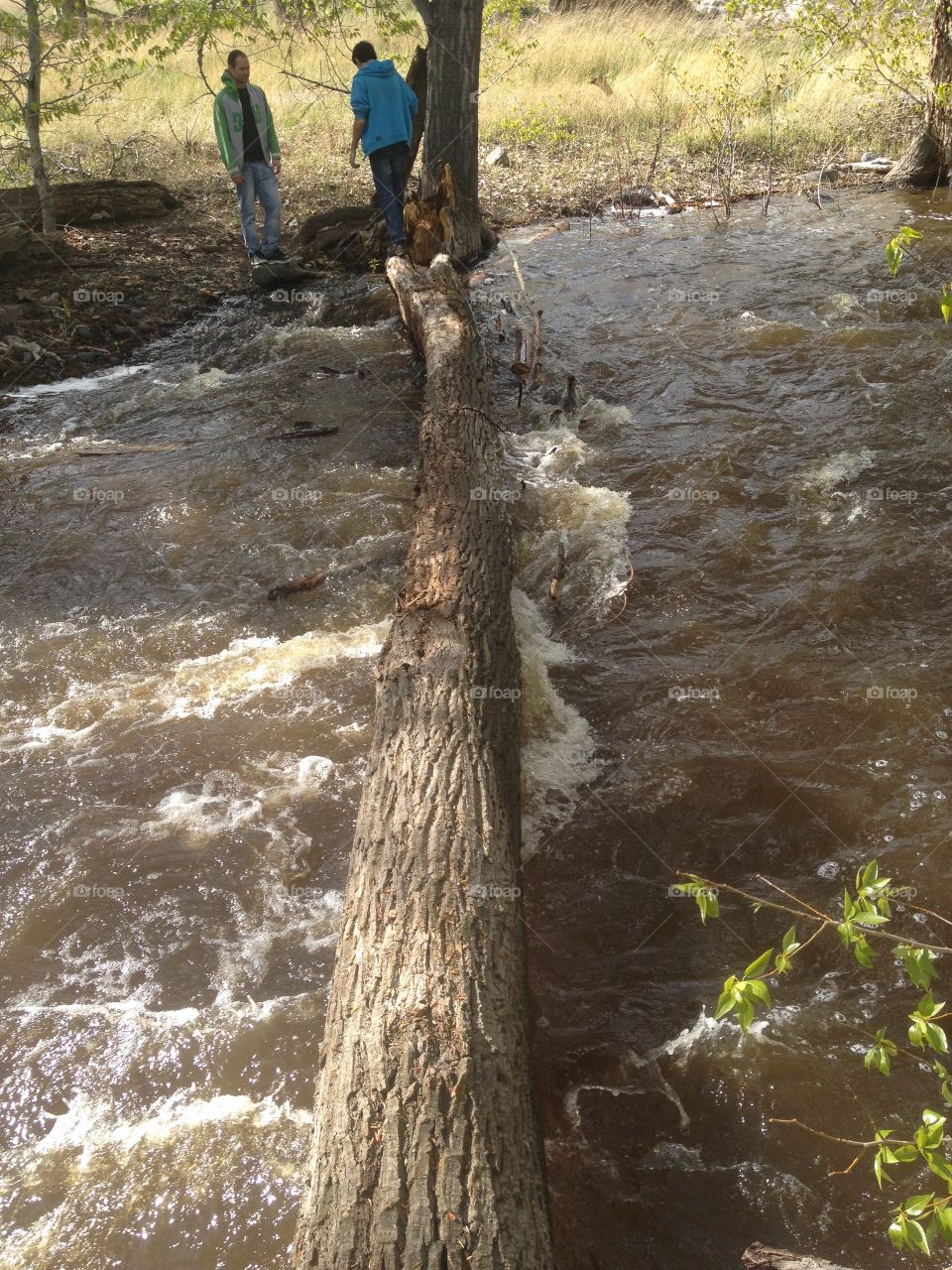 Crossing the river log bridge! 