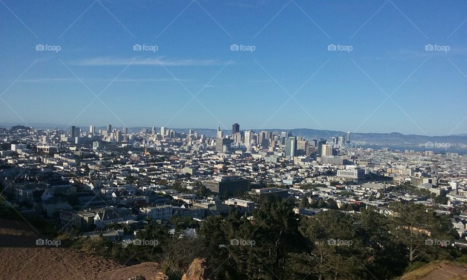 Expansive view of the San Francisco skyline from hillside park on a sunny day. Facing Northeast
