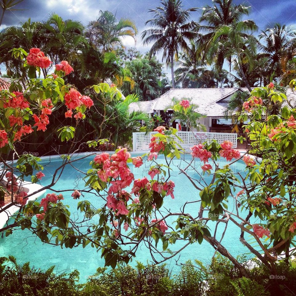 Swimming pool in front of house