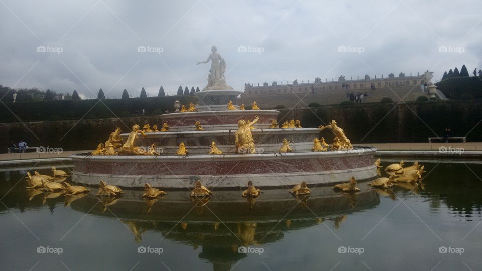 Incredible reflectuons