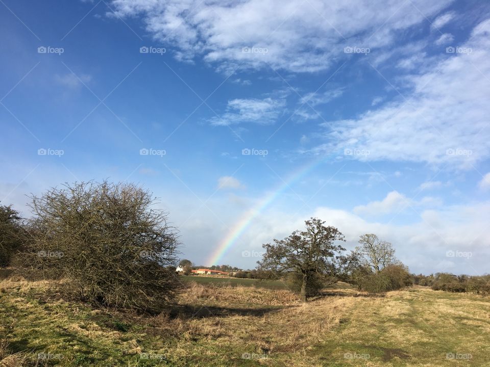 Today’s little rainbow 🌈