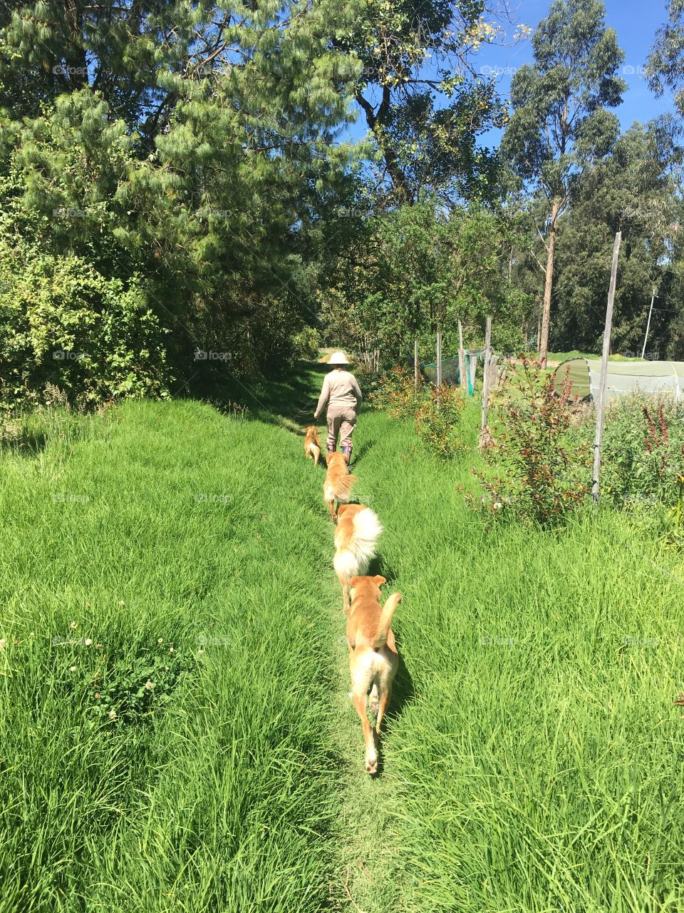 Long lines in summer 