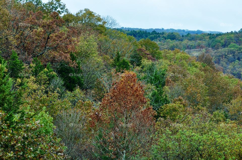 Darryl . On patio enjoying fall colors