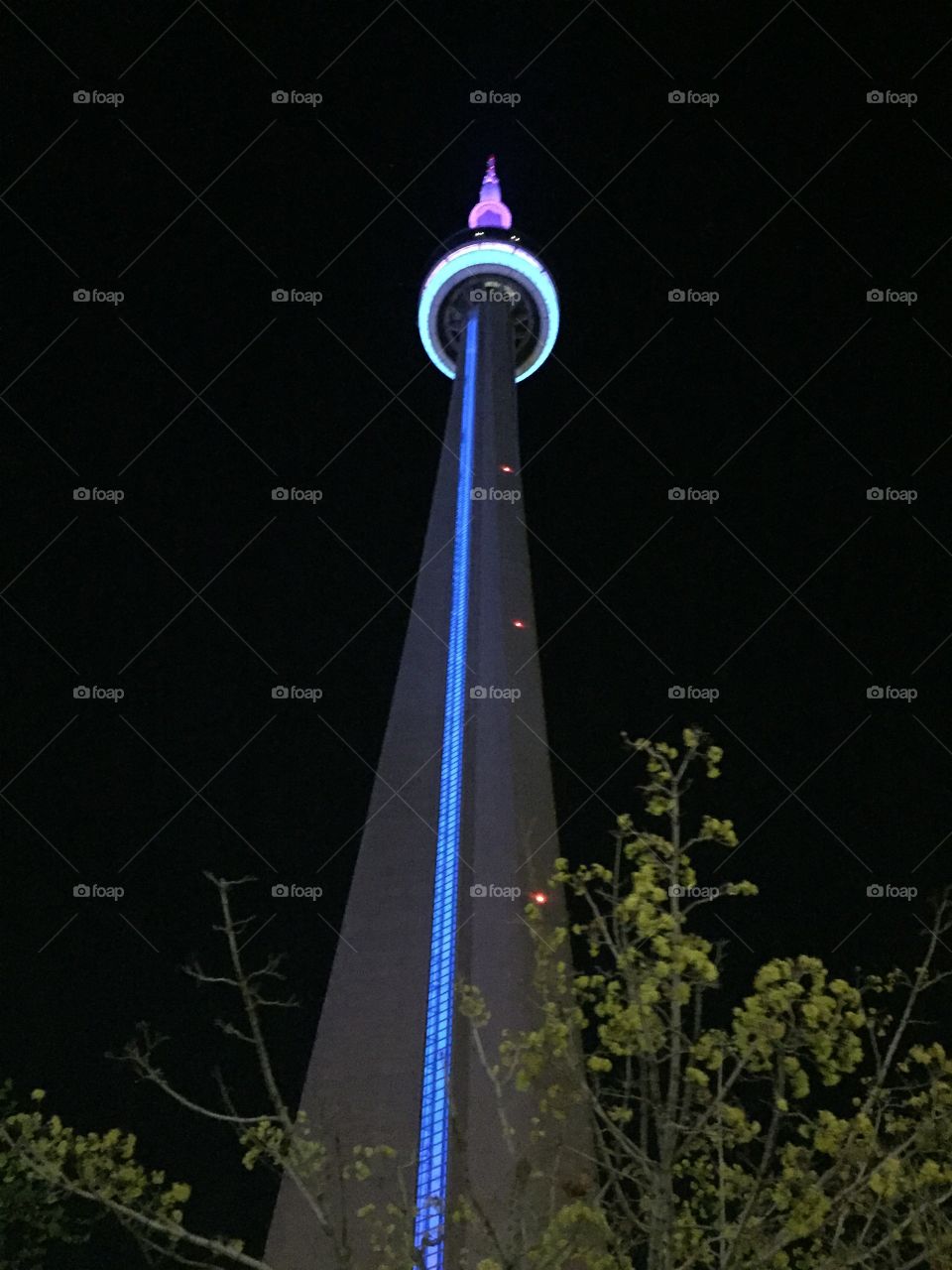 CN Tower at night 