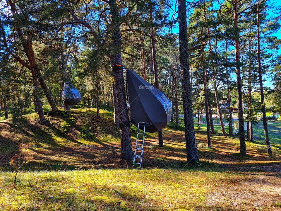 tree house