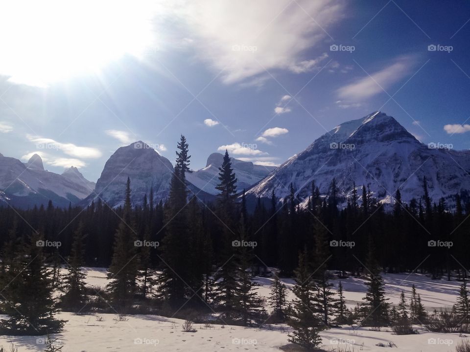 Scenic view at jasper national park