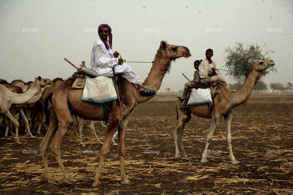 Sporadic pictures of Sudan