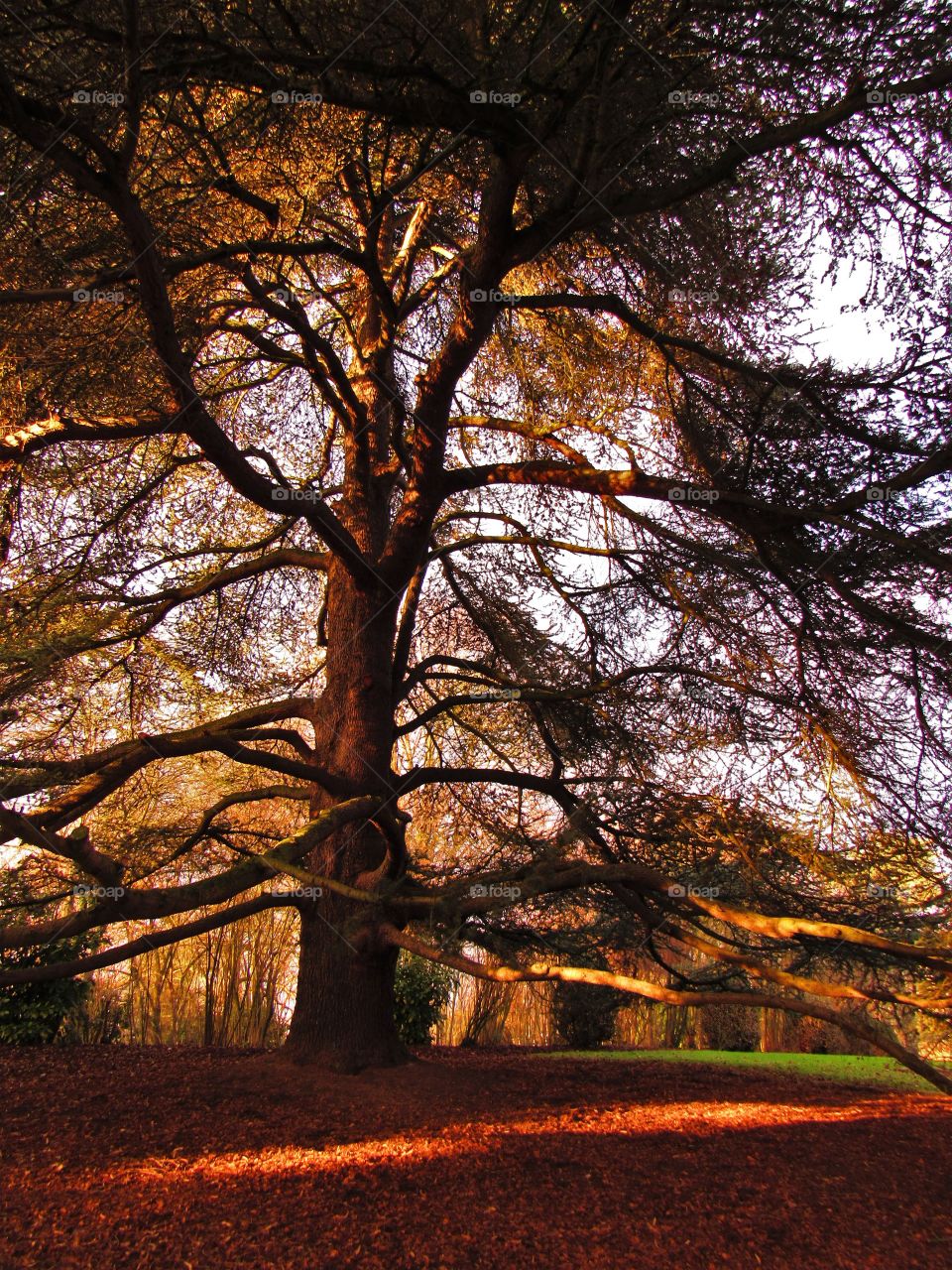 In the park