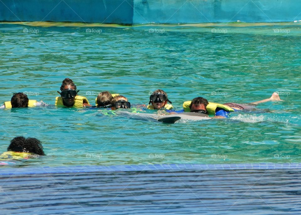 Swimming With Dolphins