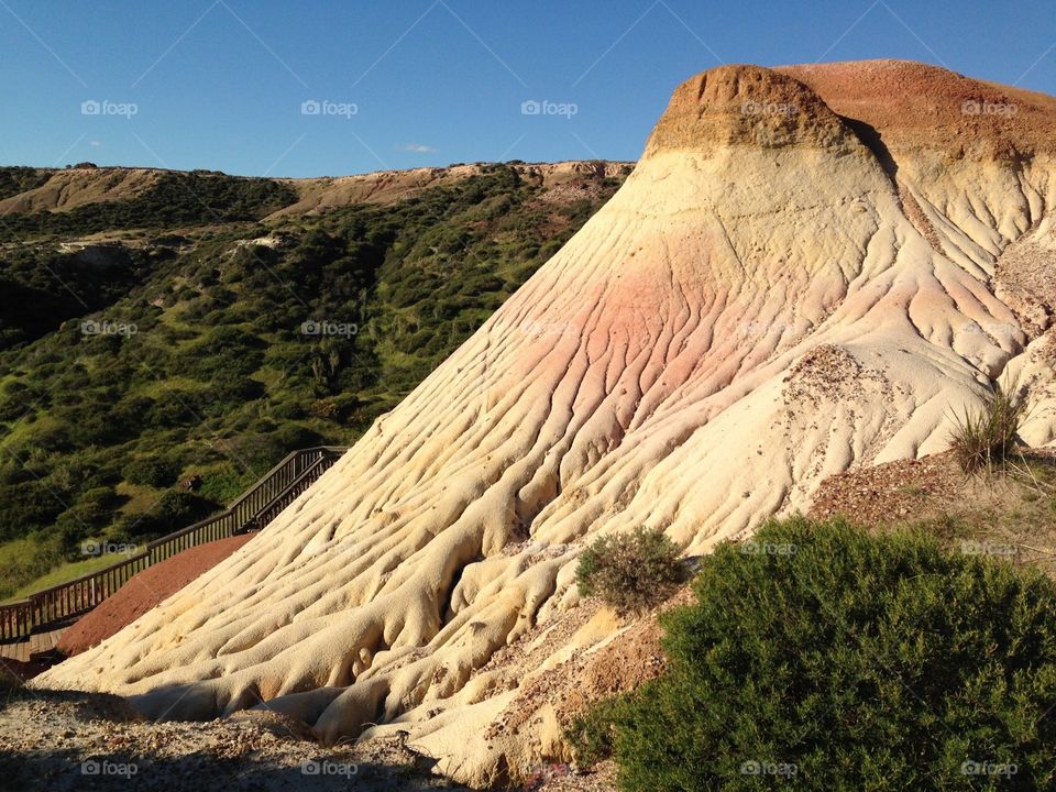 South Australia Pink Beauties. Near Adelaide