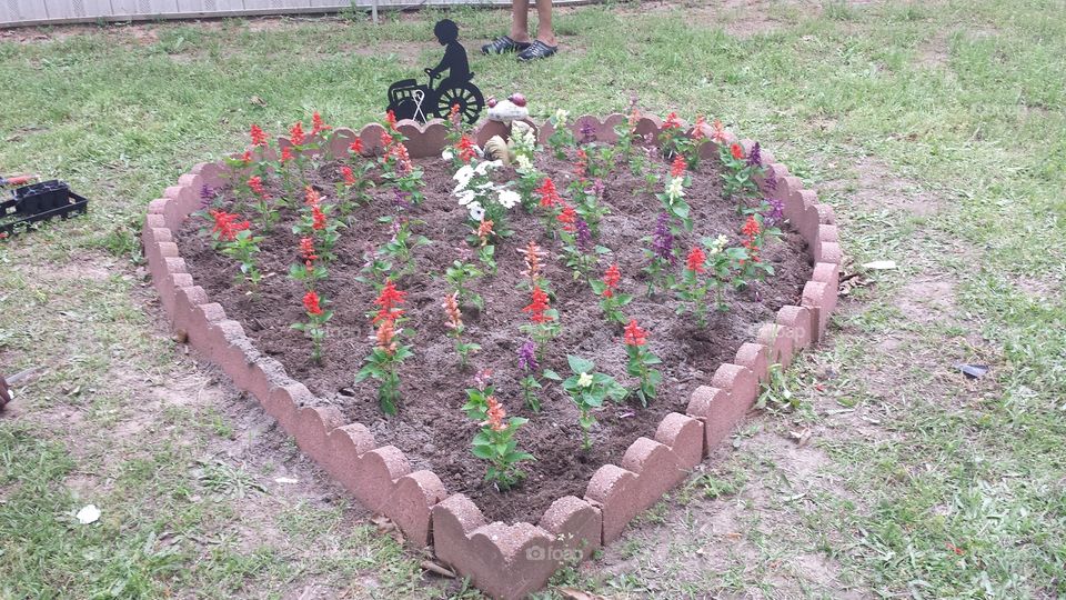 my baby's flower bed