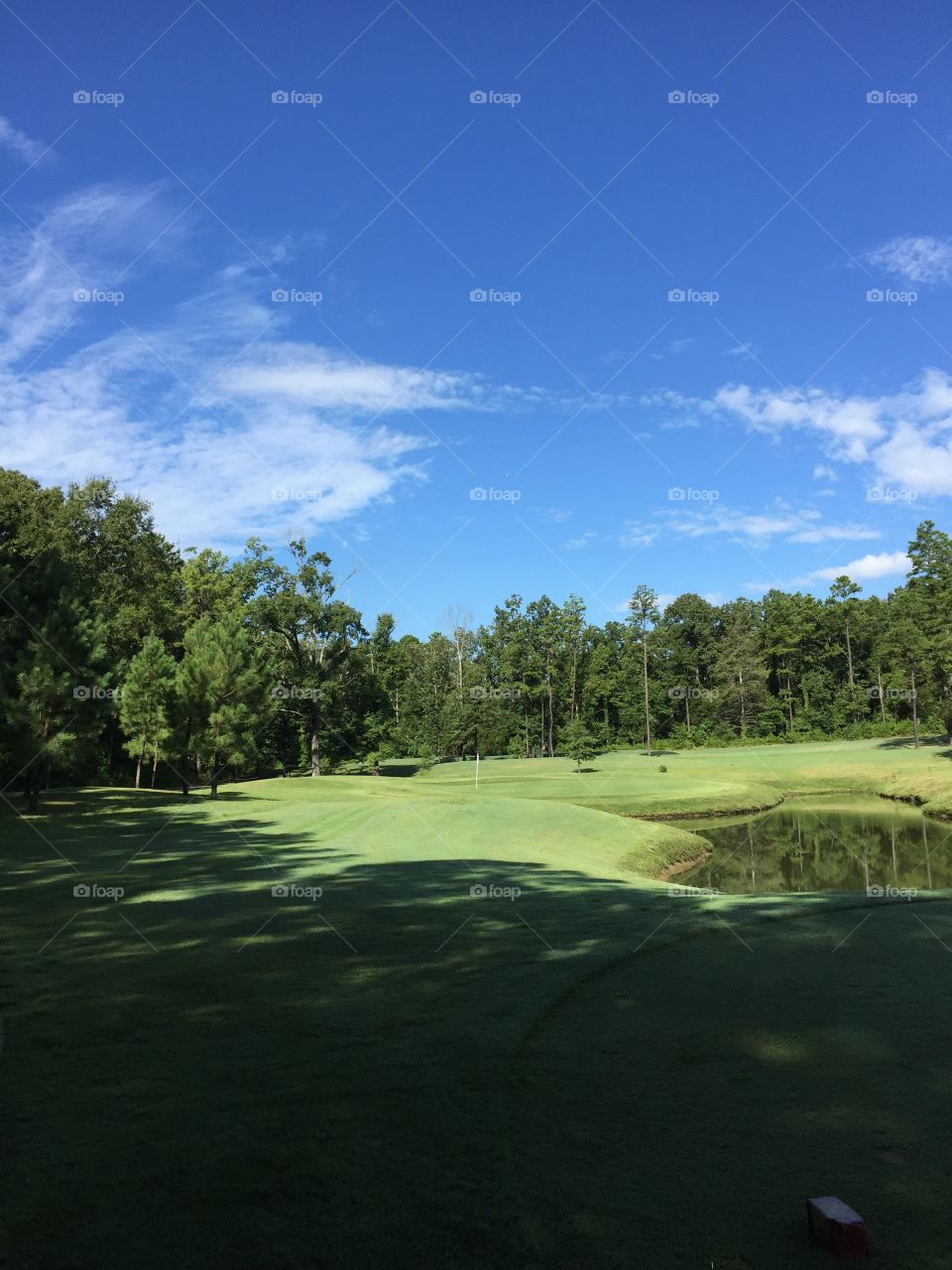 Nutter's Chapel Golf Course. Playing a round with my girl friends from the Executive Women's Golf Association 