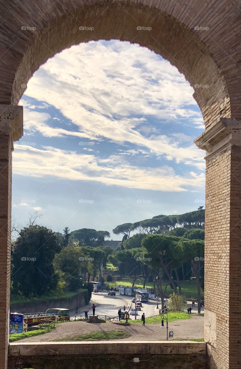 Perfect views through one of the arches of the glorious Colosseum of Rome. The marvelous maritime pines on the hill are breathtaking and as beautiful as any painting. 