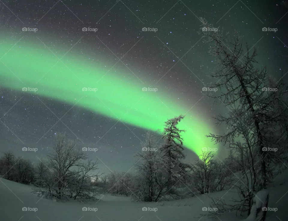 Aurora borealis,north,cold,green,night,polar night,Arctic,snow,frost,