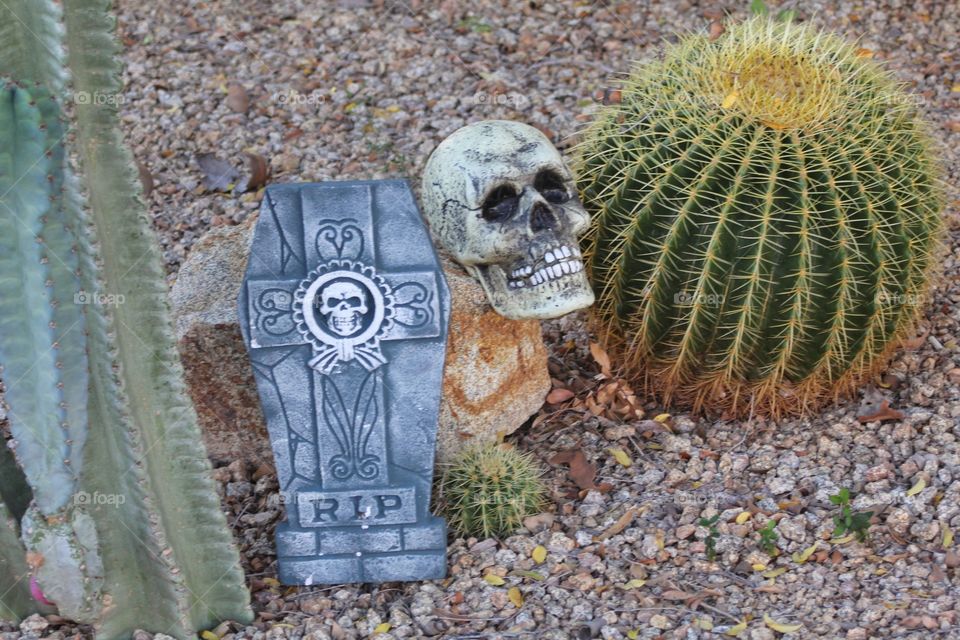 Headstone and skull in the desert