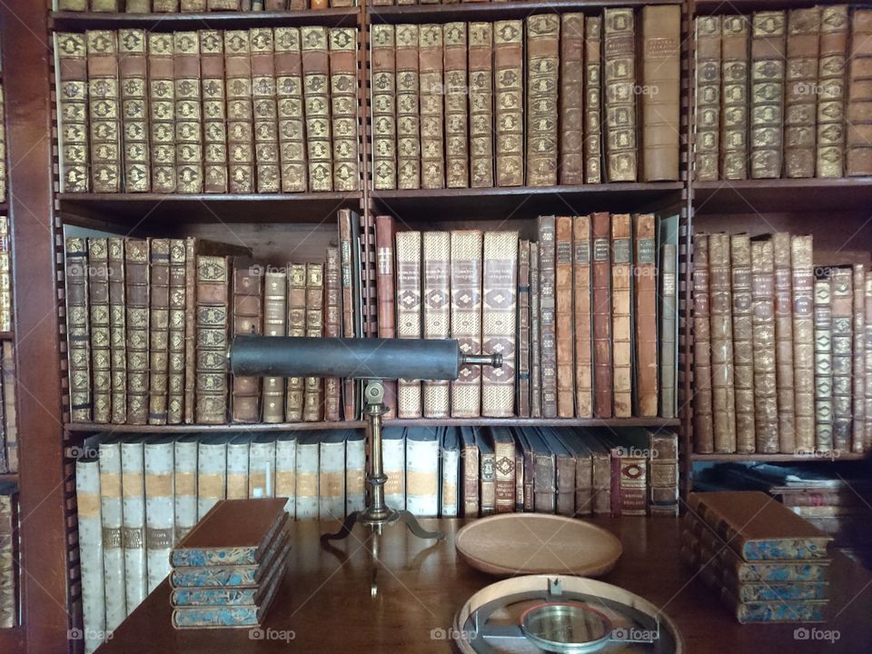 Shelf, Bookcase, No Person, Library, Indoors