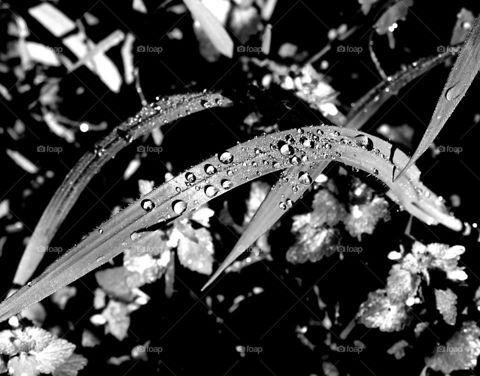 Sunrise in Parco Garbatella 