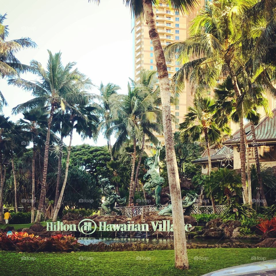 Hilton in Hawaii