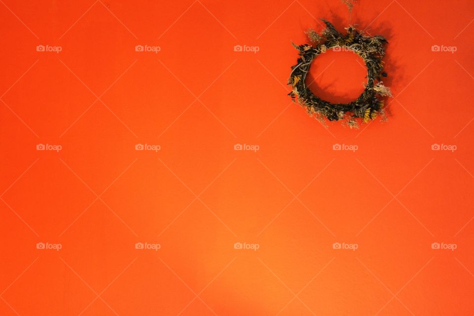 Flower crown on the wall 