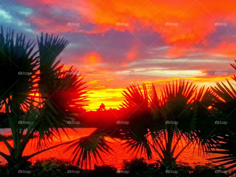 Red sky