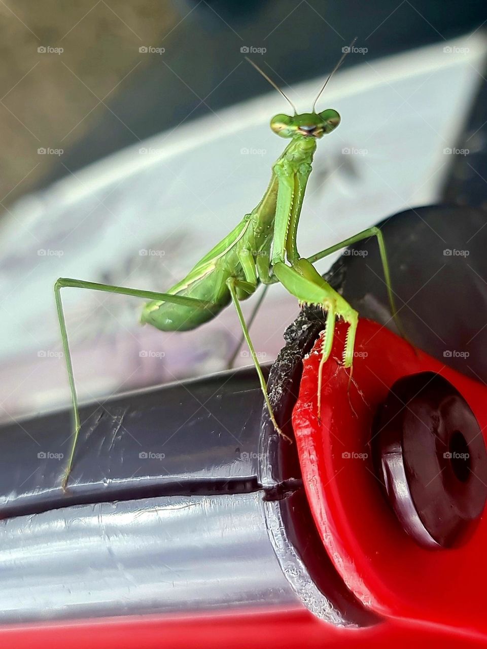 "You looking at me?"