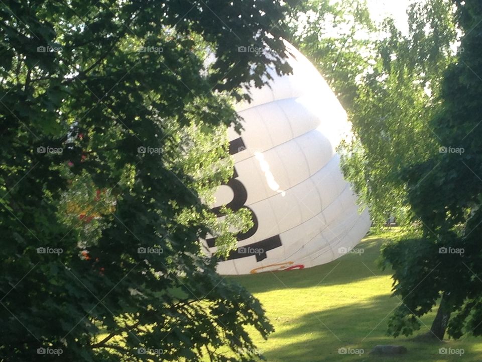 ballon between the trees