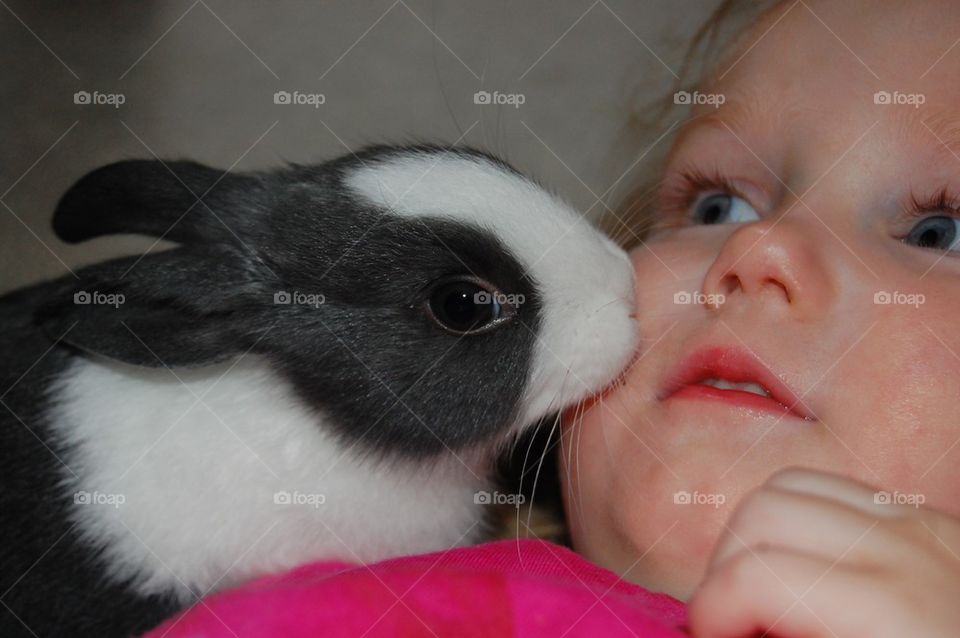Bunny kisses 