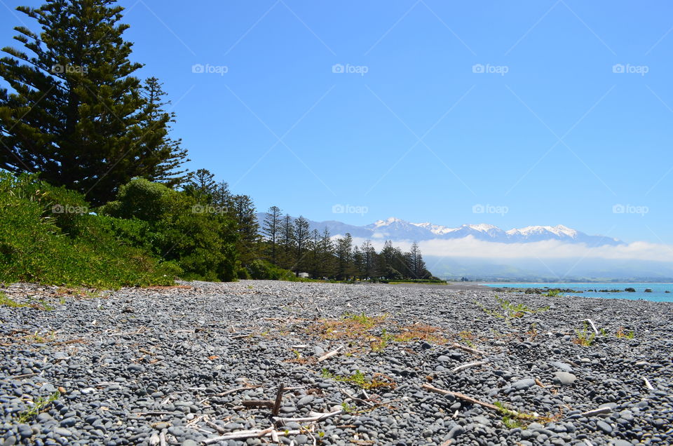 Kaikoura Beach New Zealand