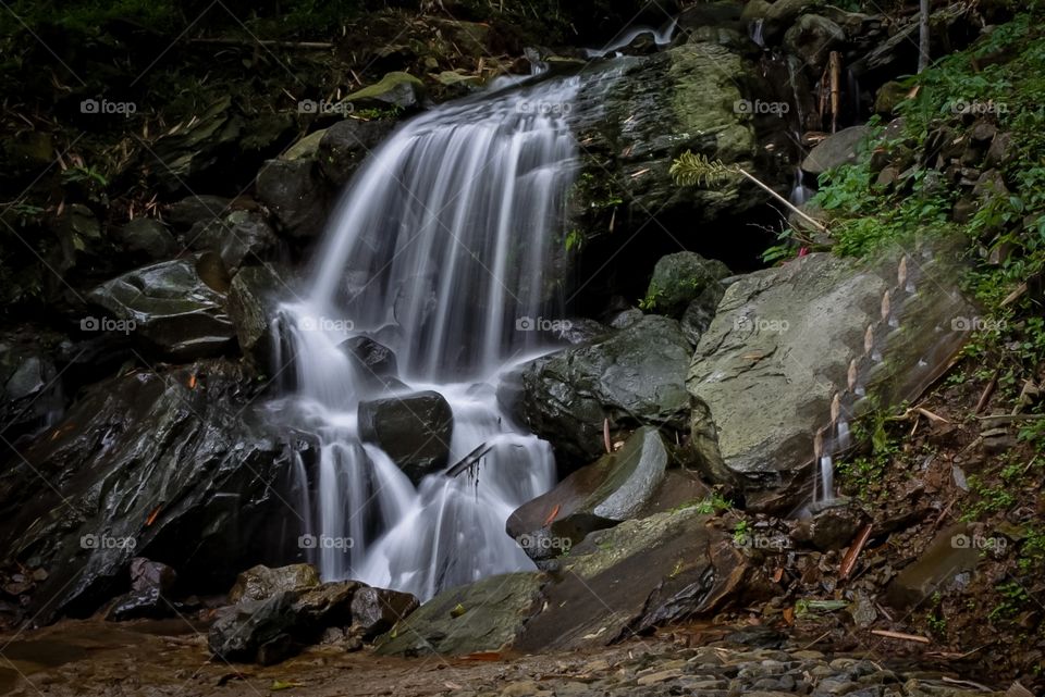 “Look deep into nature, and then you will understand everything better.” [Albert Einstein ]