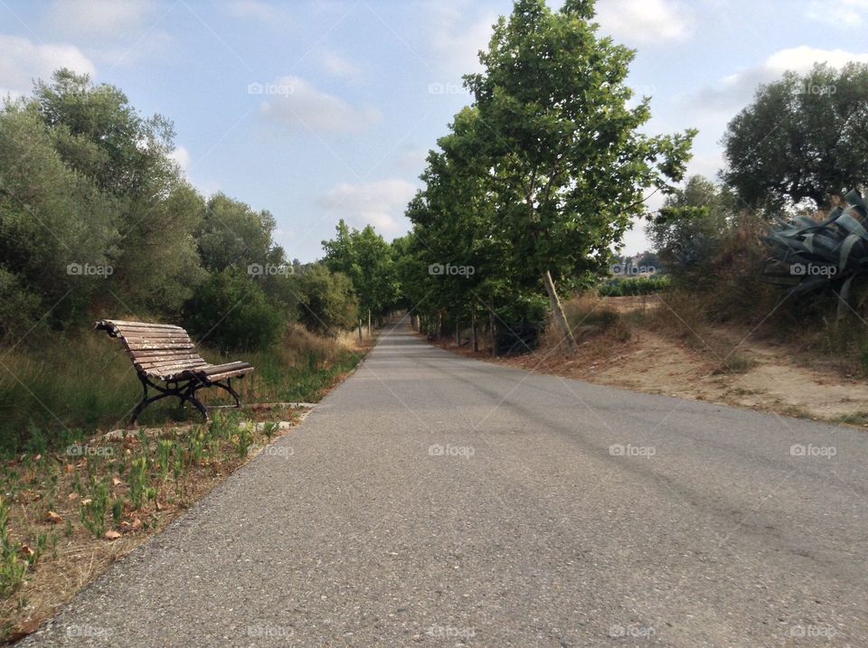 Road, Landscape, Tree, Guidance, Grass