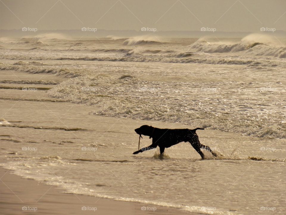 On the beach