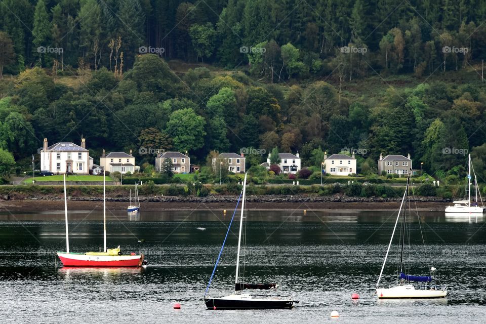 Sailboat in sea