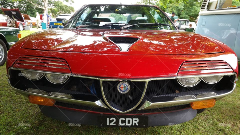 red vintage car at Grantham car show

alfa romeo logo. emblem. car badge