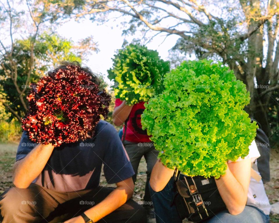 Men hold Lettuces on their faces, covering them up.