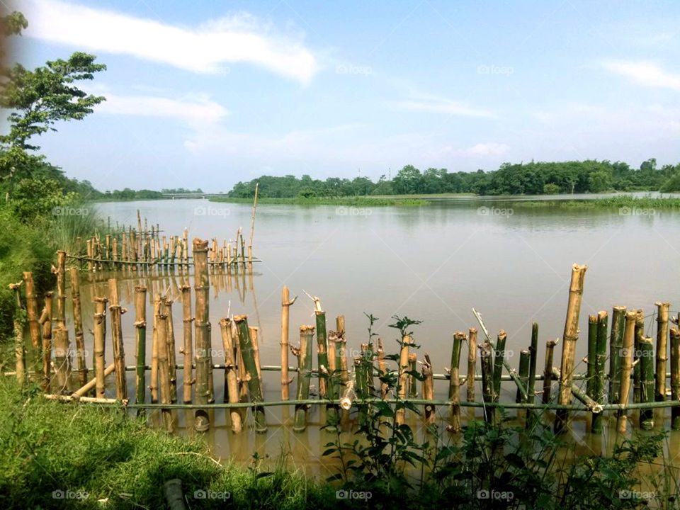 Erosion protection with bamboo.