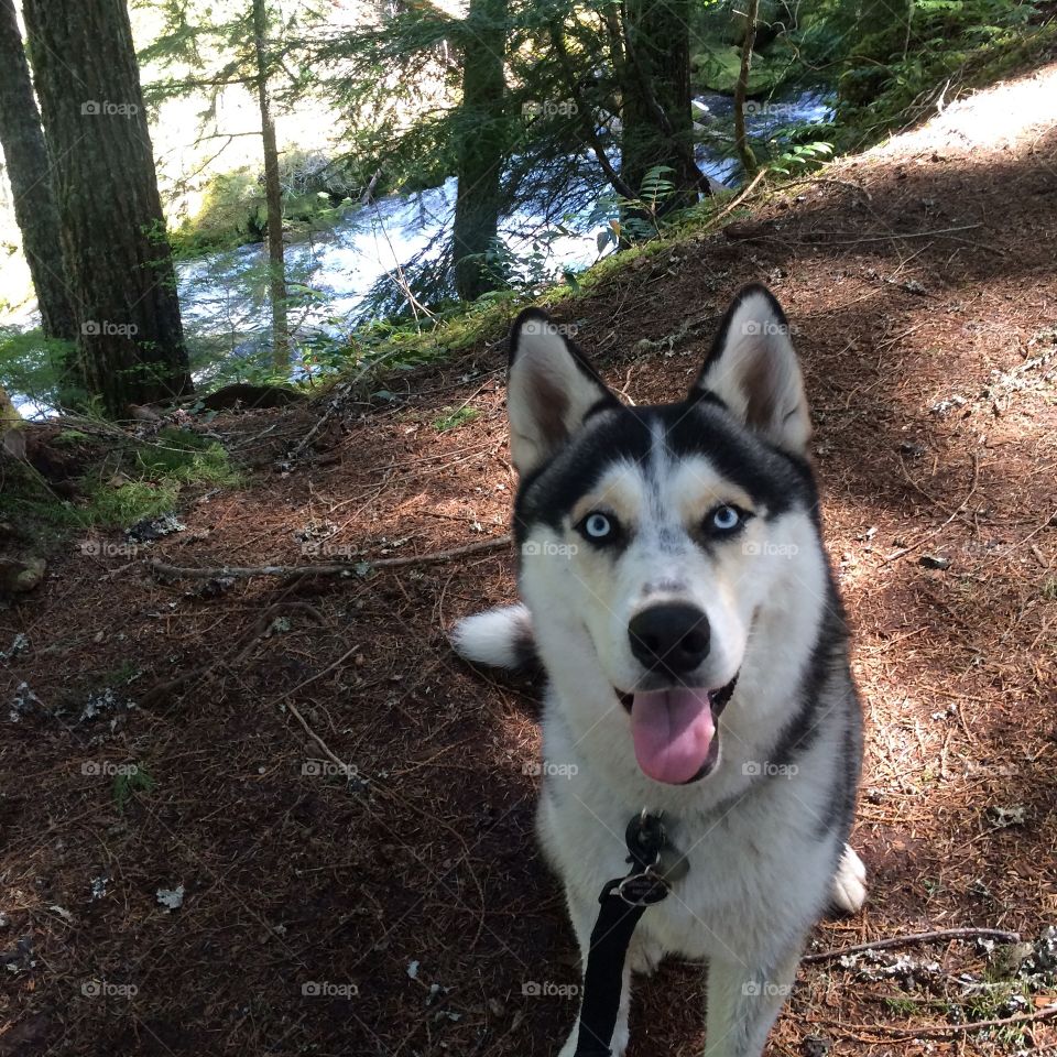 We go for a hike now??