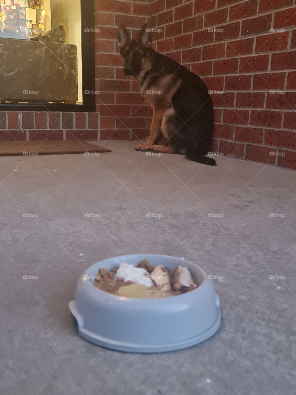 mmm Doggie dinner time riding the corner... yum yum yum mmm hmm in my belly