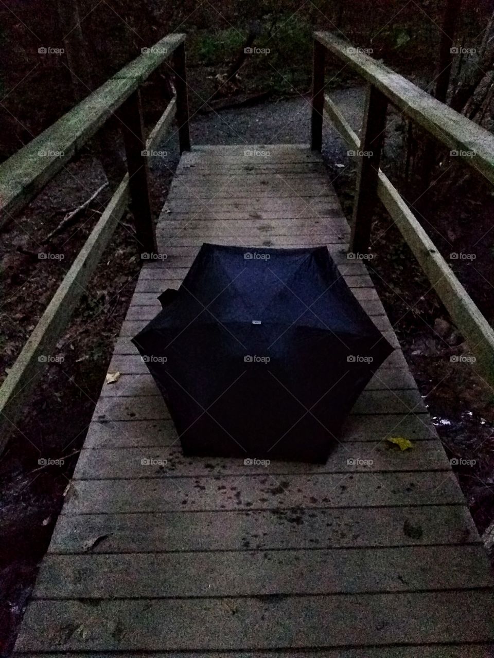 Abandoned umbrella