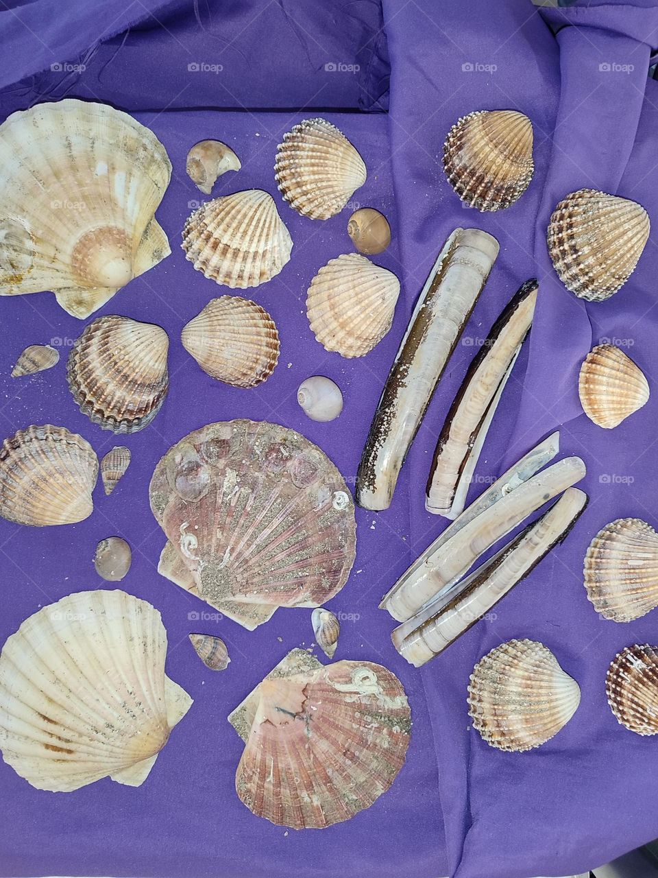 Capture the Power of Complementary Colors,