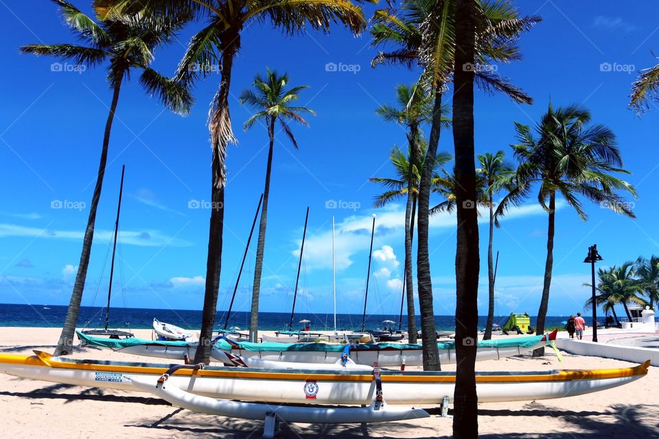 Kayak beach palms