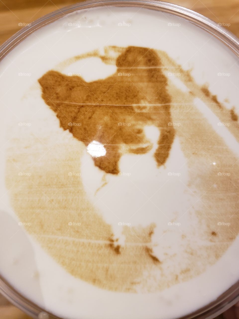 Image of a pomeranian printed onto bubble tea!