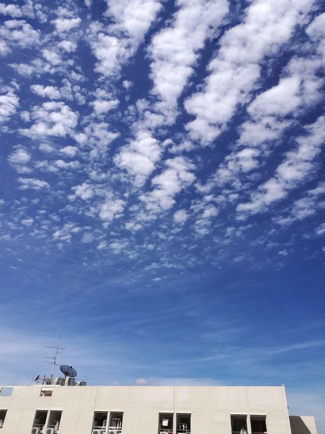 Satellite cloud