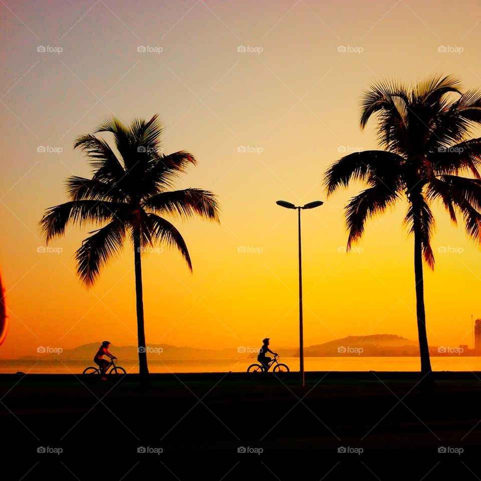 Silhouette of people cycling during sunset