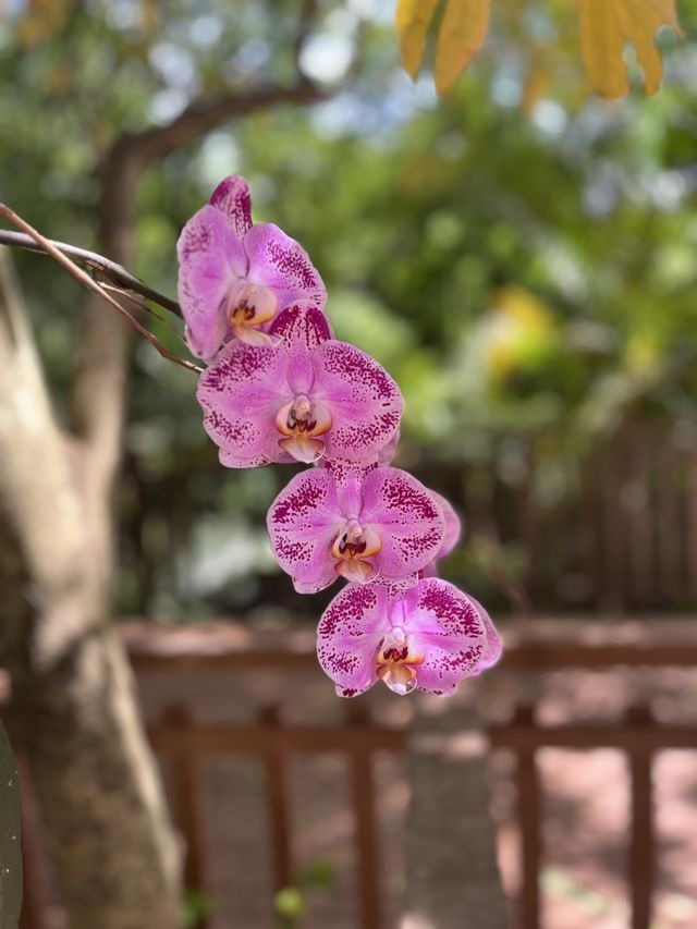 Beautiful 