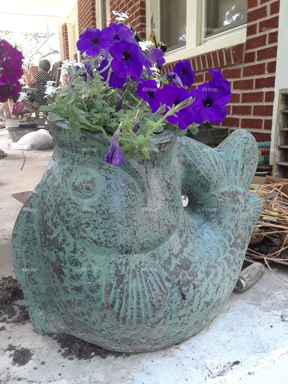 purple petunias in a fish pot on the porch