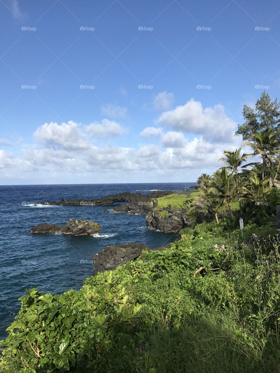 Seashore in Maui 