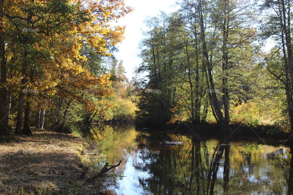 River in autumn