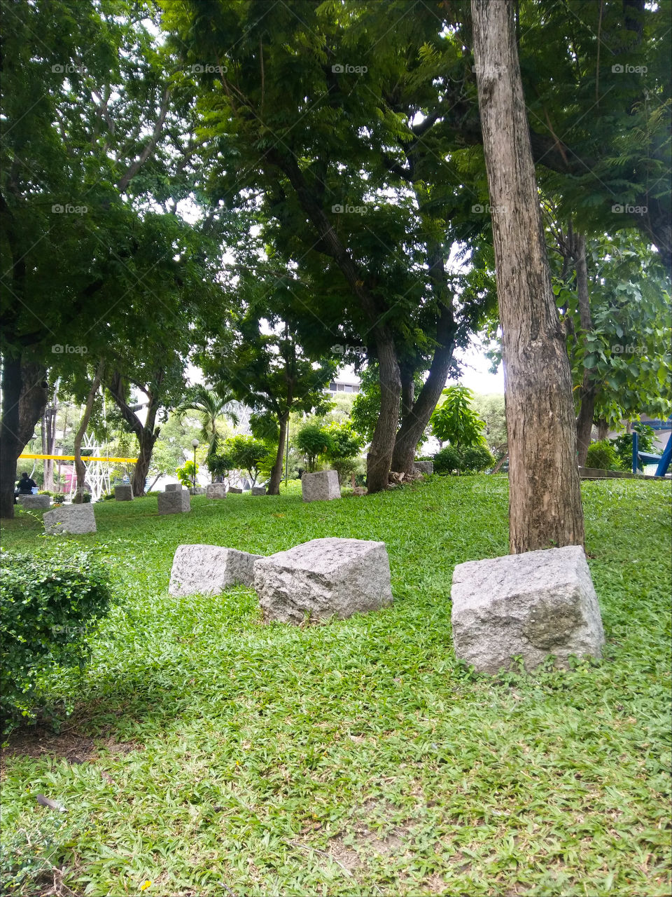 Green grass stone , little park in city