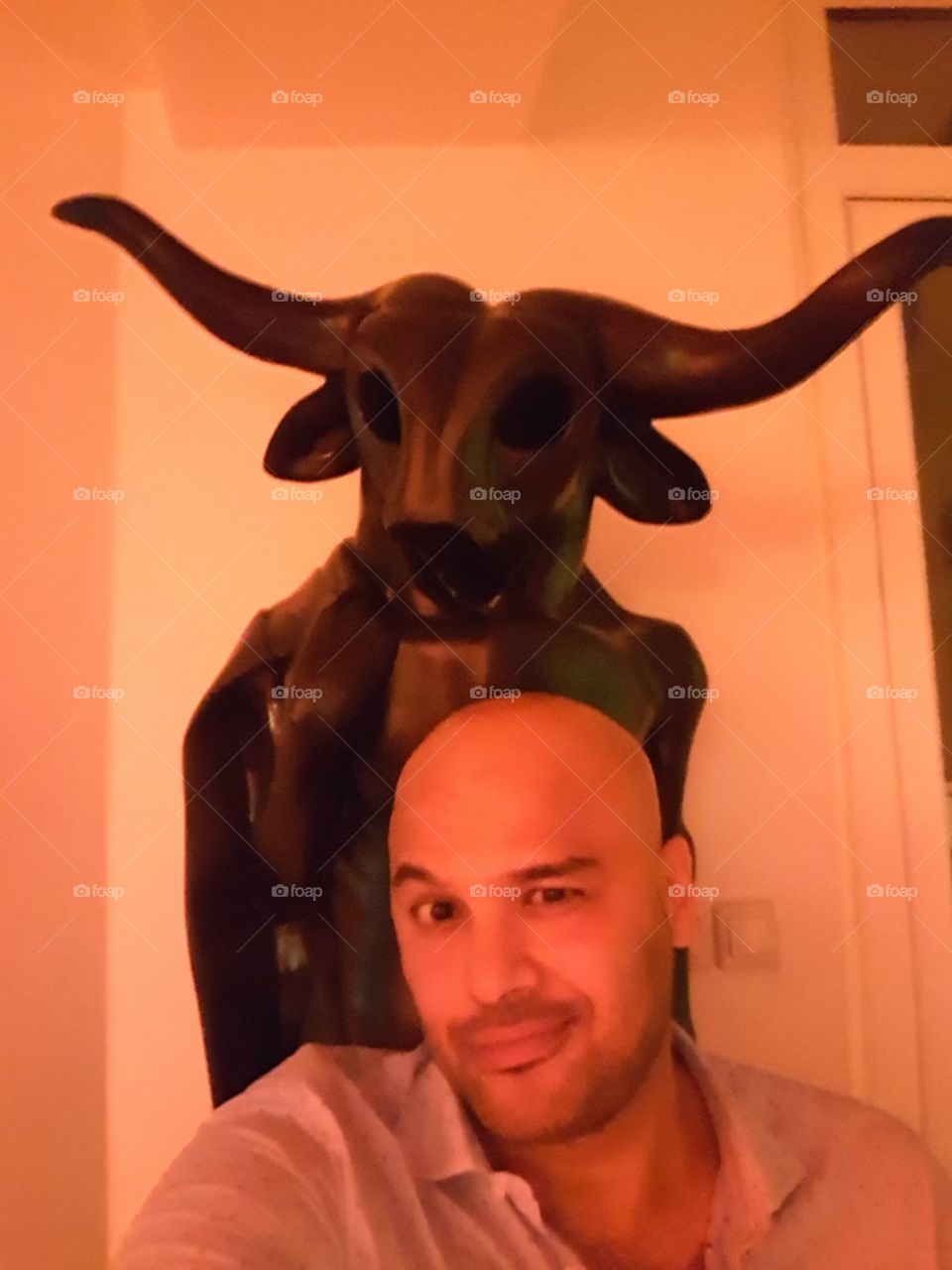 bull