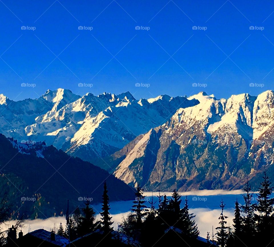 Mountains above the Fog 